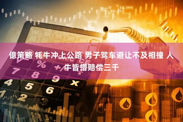 億策略 牦牛冲上公路 男子驾车避让不及相撞 人牛皆懵赔偿三千